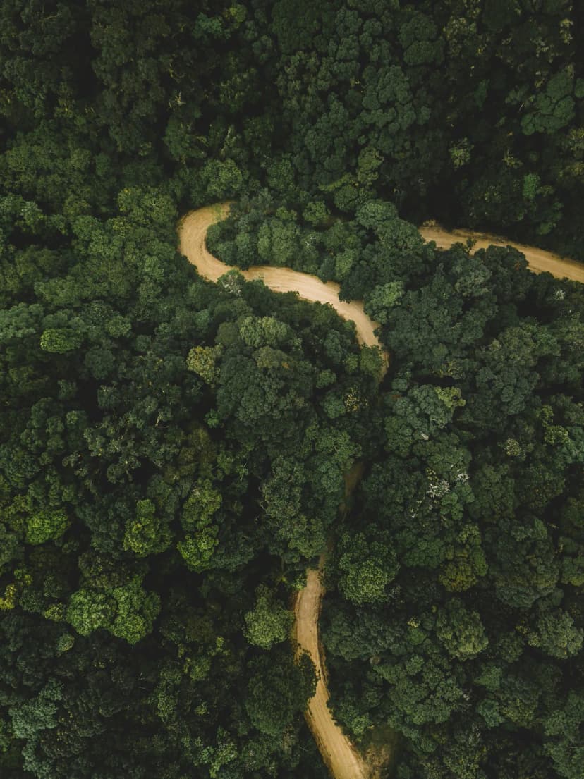 Bosque de La Tigra, Honduras